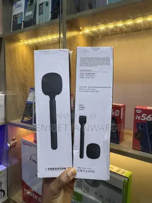 Microphone Stick