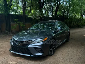 Toyota Camry XSE (2.5L 4cyl 8A) 2019 Gray