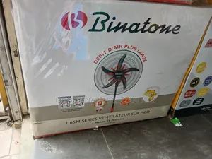 TS2020 Binatone Fan