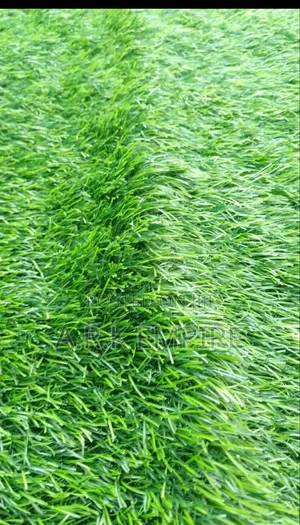 Artificial Grass