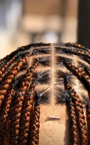 5by5 Closure Knotless Braided Wig