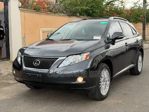 Lexus RX 2010 Gray