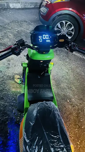 Brand New Leopards Electric Bike