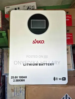 2.5kwh 24volts Sako Lithium Battery