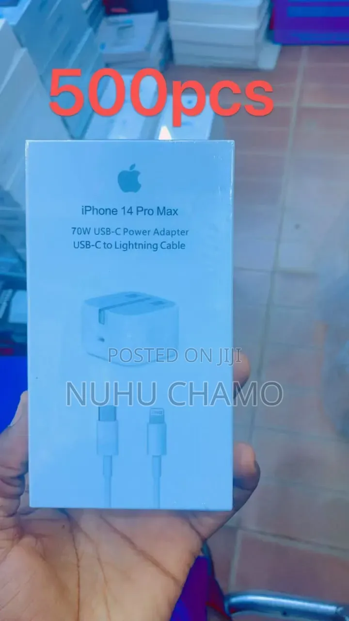 iPhone Charger