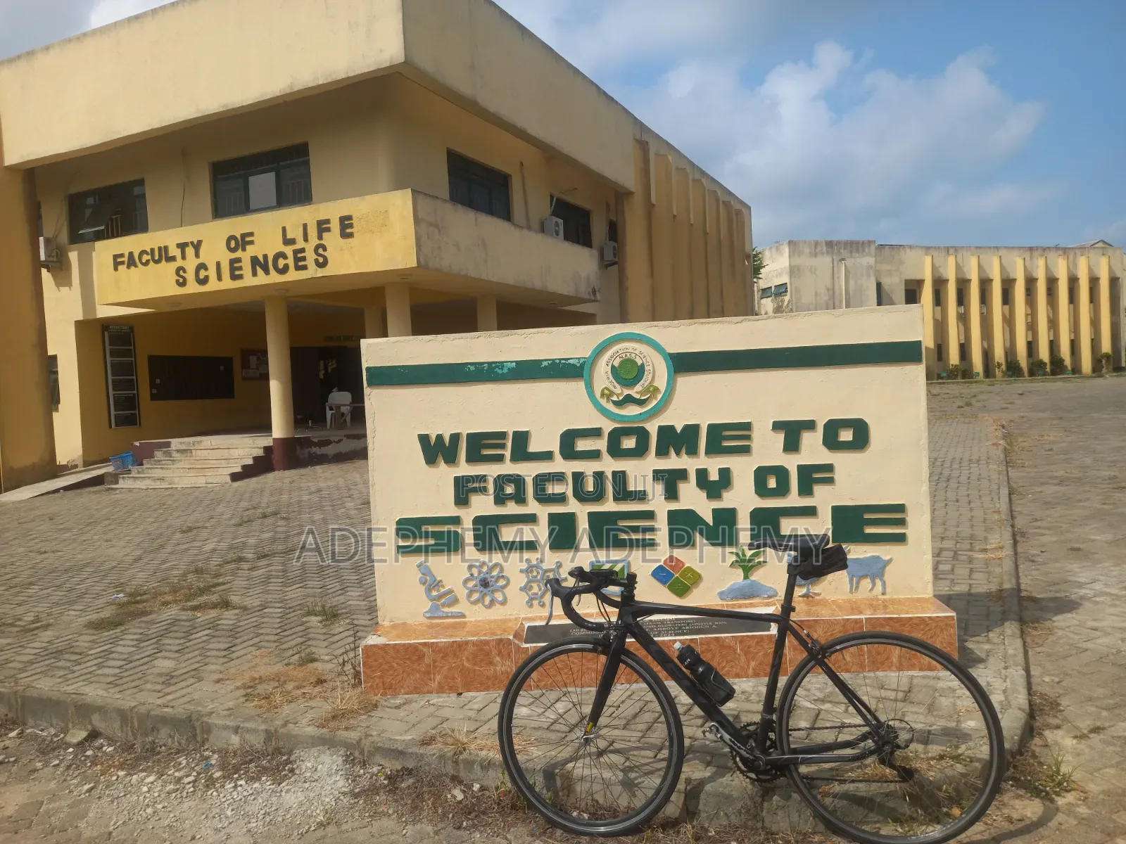 Road/Sport Bicycle/Bike