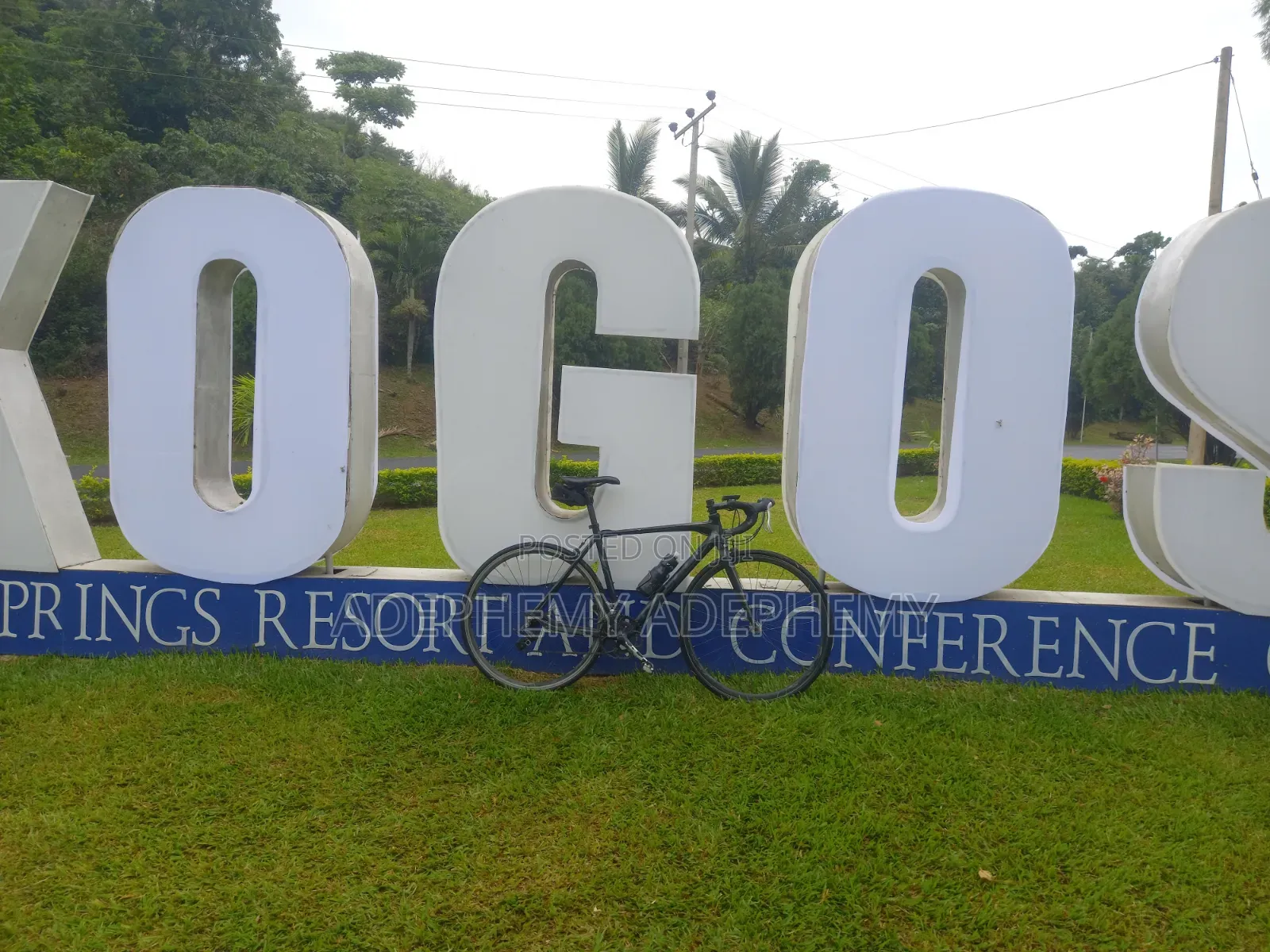 Road/Sport Bicycle/Bike