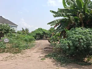 Residential Land Measuring 1,157 SQM