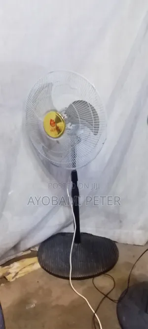 Standing Fan