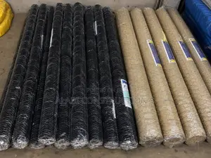 Galvanized Chicken Net / Chicken Wire Mesh Poultry Net