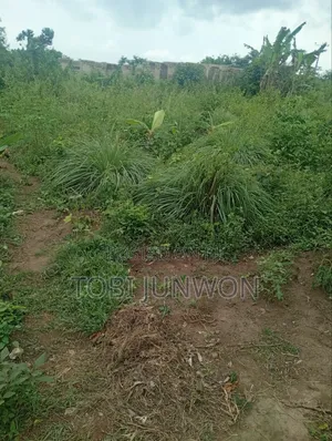 A Plot of Land for Sale at Ogun State Ifo , Cheap and Affordable.