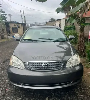 Toyota Corolla 2004 Gray