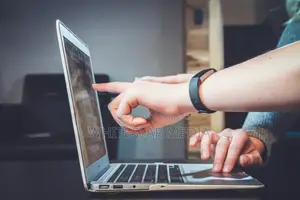 Need a Website