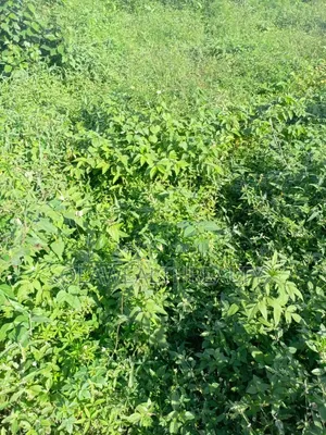 2,632sqm Residential Land at Guzape Main