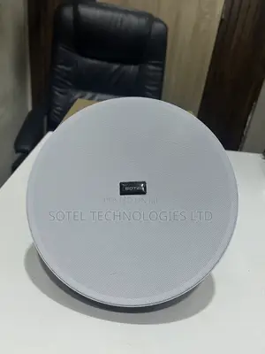 6.5 Inch Ceiling Speaker for Home Office Church Sound System
