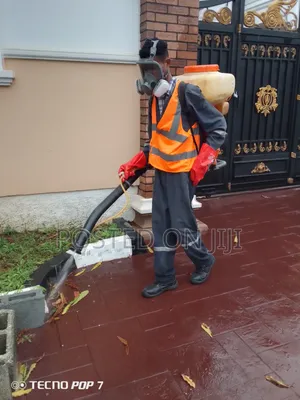 Fumigation Call Now-