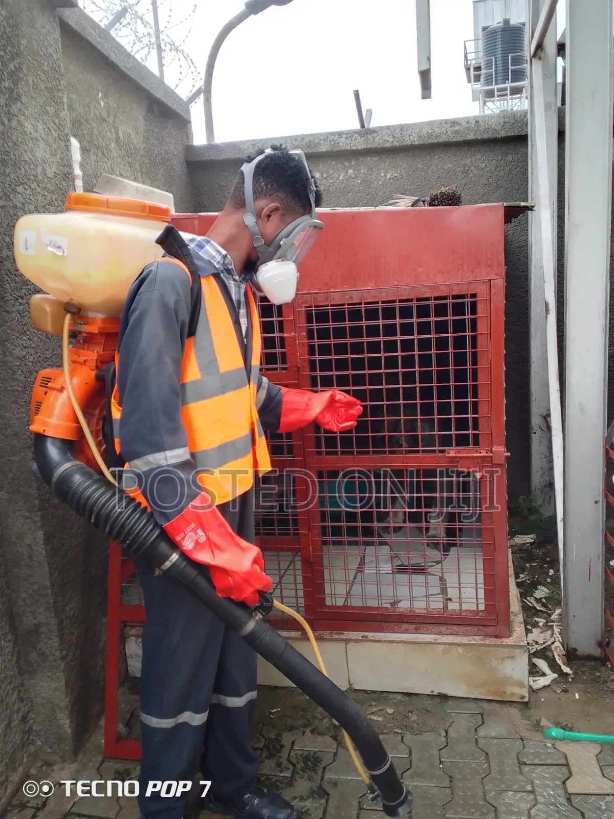 Fumigation Call Now-
