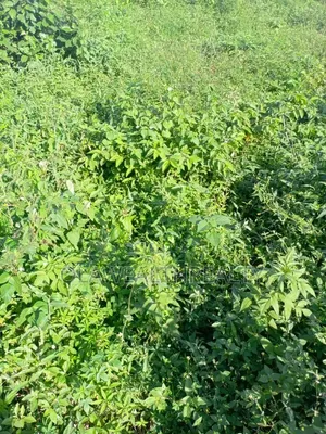 1 Hectare Mixed-Use Land at Kubwa