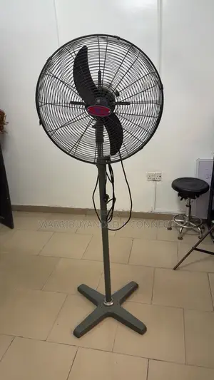 Standing Fan