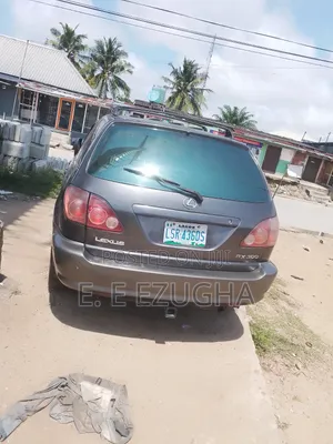 Lexus RX 2003 Gray
