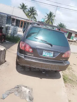 Lexus RX 2003 Gray