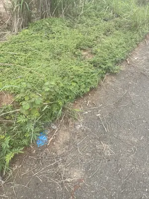 Location Anambra State