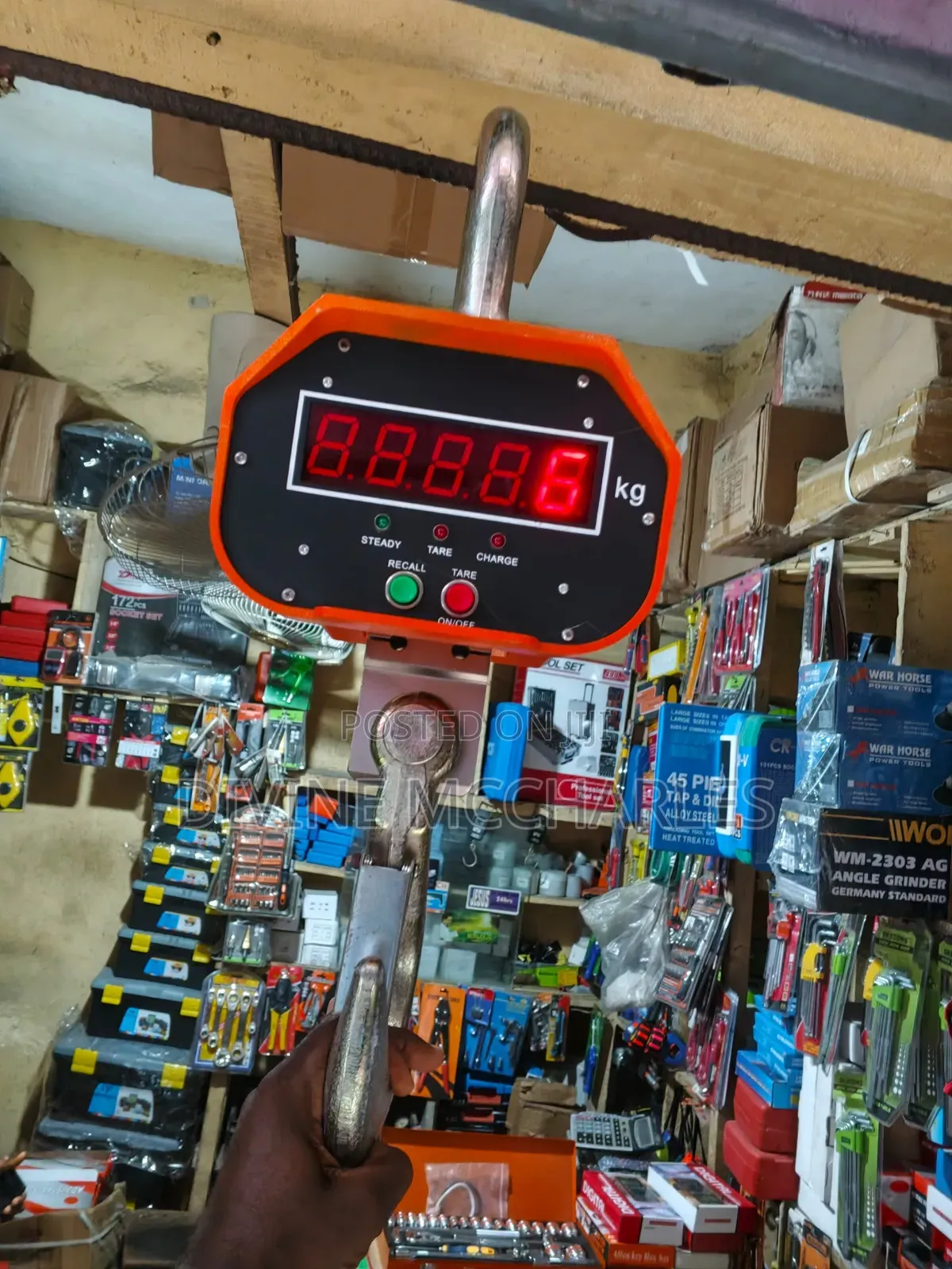 Crane Scale