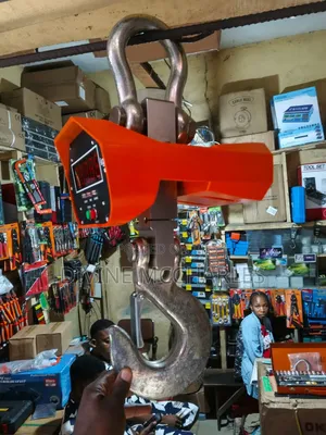 Crane Scale
