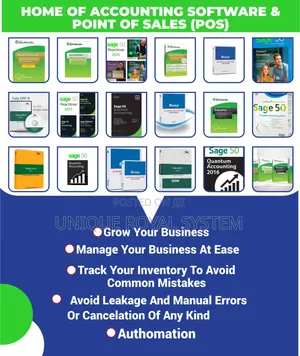 Accounting Software It Professional Services