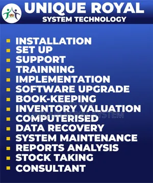 Accounting Software It Professional Services