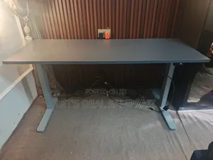 Electric Adjustable Sit-Stand Desk