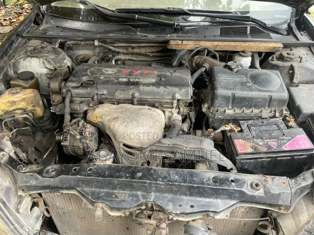 Toyota Corolla 2004 Green