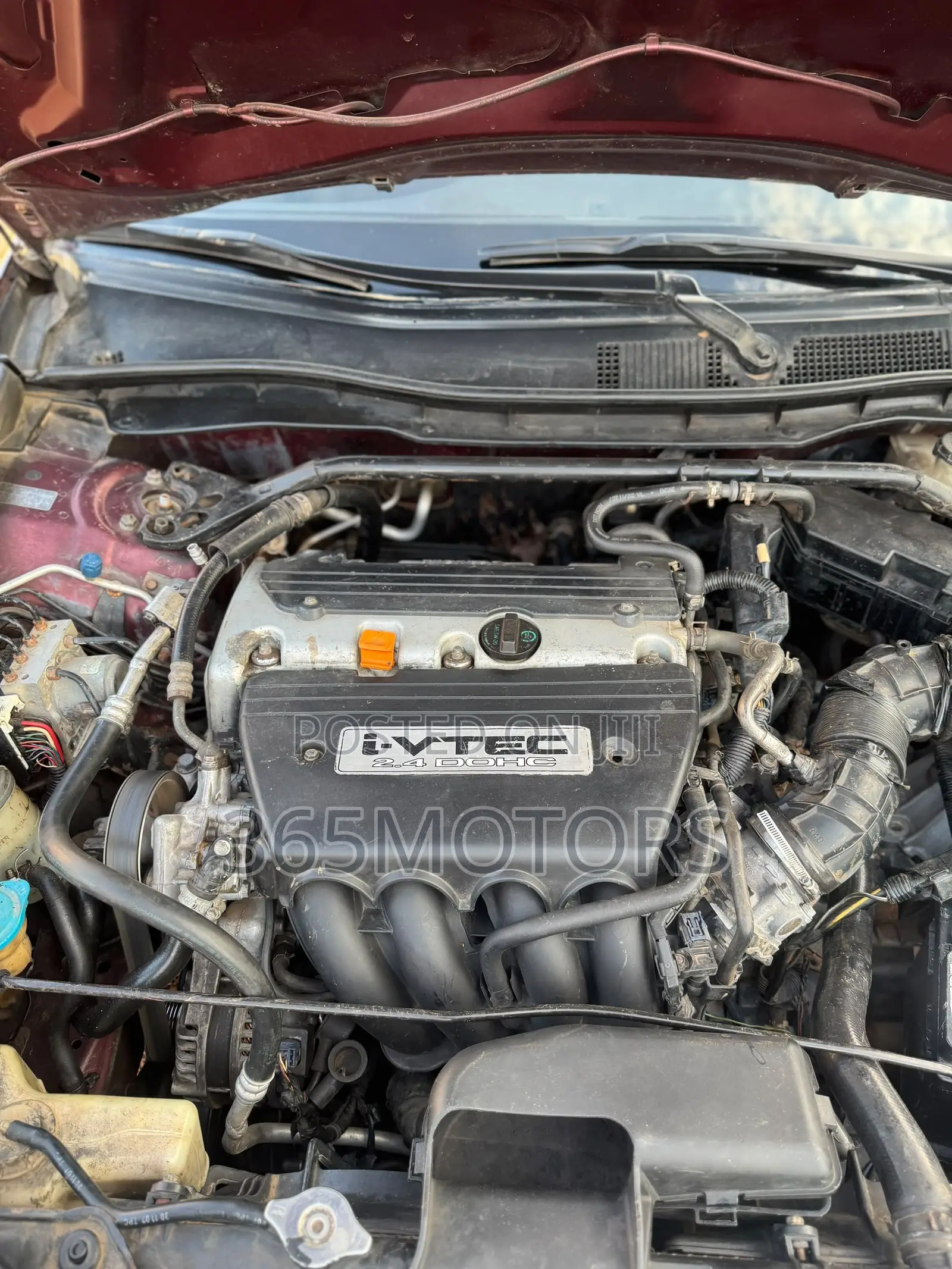 Honda Accord 2008 Maroon