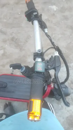 Electric Scooter