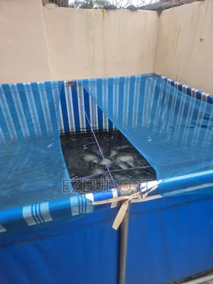 Ezeudo Fish Farm