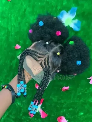 Braided Wig
