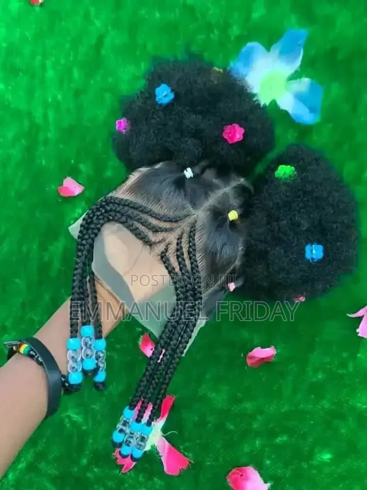 Braided Wig