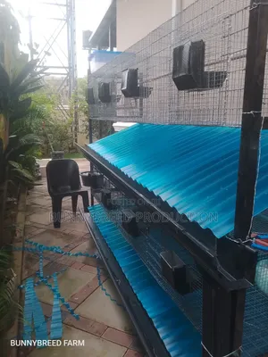 Commercial Rabbit Cage System — Fully Equipped