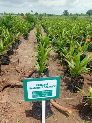Oil Business Real Estate, Imala Onigbado Abeokuta