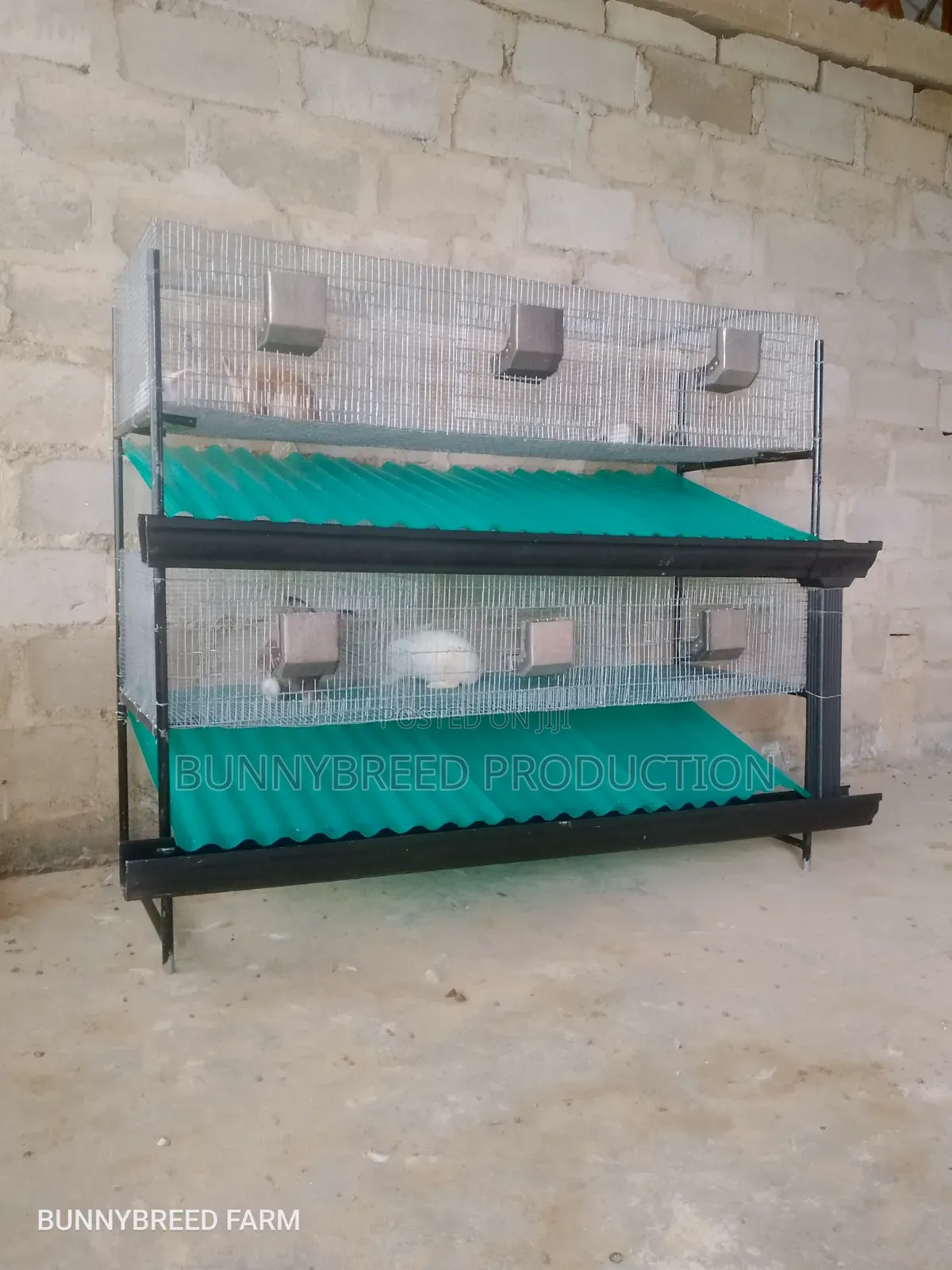 Commercials Rabbit Cage | 6-Room Automatic Rabbit Cage System
