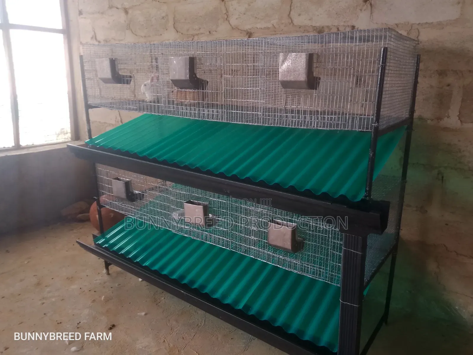 Commercials Rabbit Cage | 6-Room Automatic Rabbit Cage System