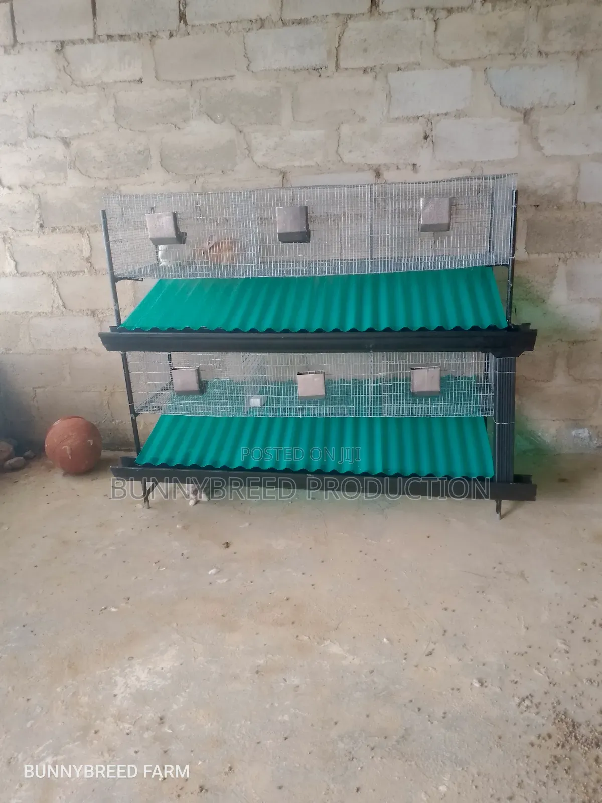 Commercials Rabbit Cage | 6-Room Automatic Rabbit Cage System