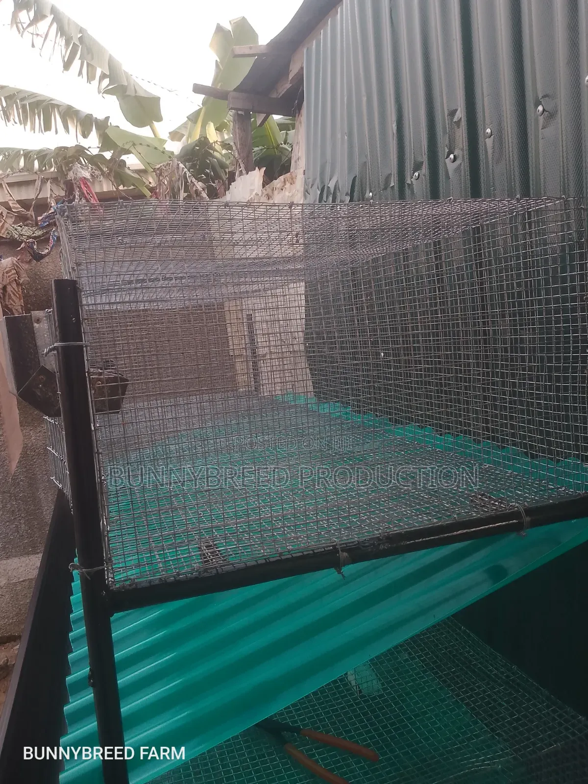 Commercials Rabbit Cage | 6-Room Automatic Rabbit Cage System