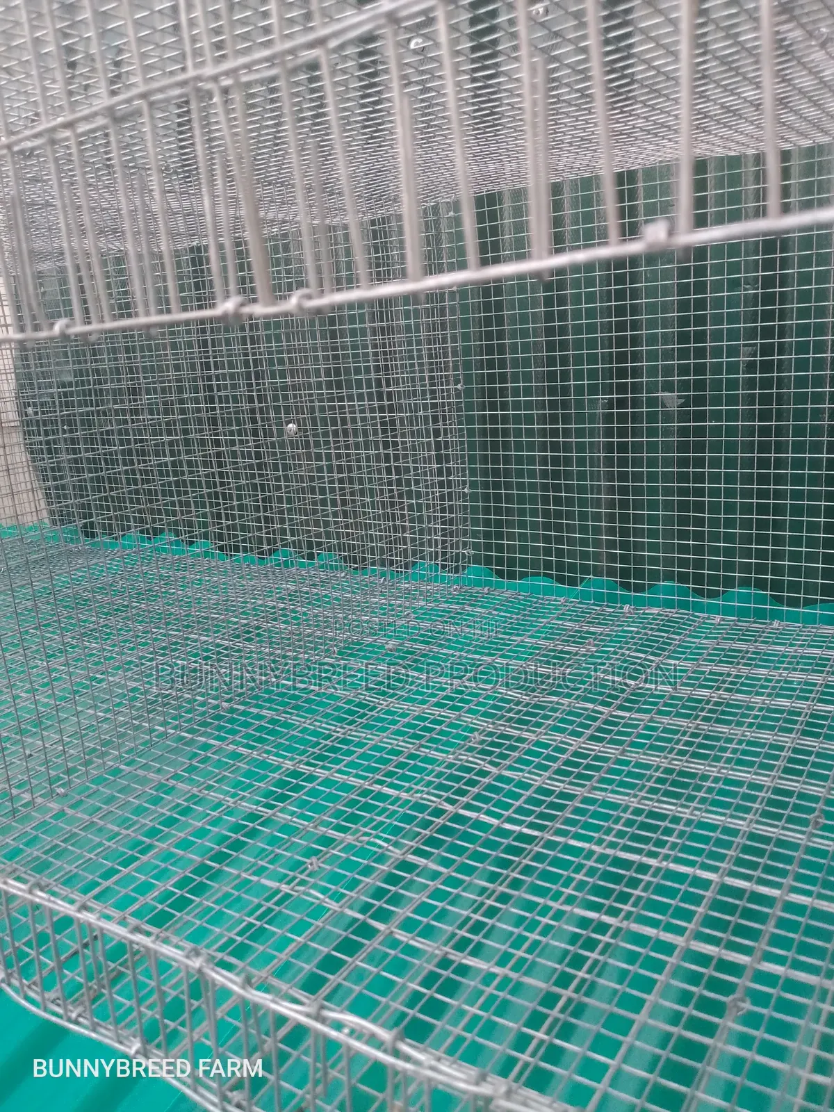 Commercials Rabbit Cage | 6-Room Automatic Rabbit Cage System