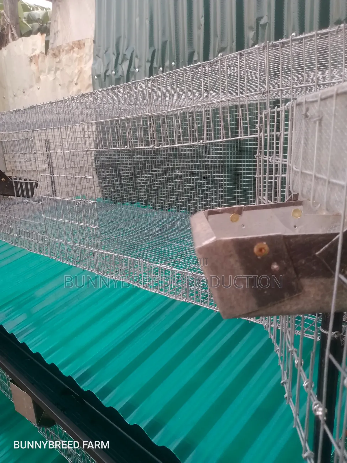 Commercials Rabbit Cage | 6-Room Automatic Rabbit Cage System