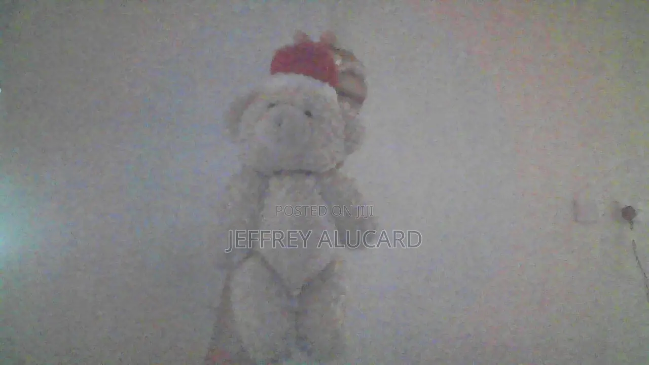 Cute Mini Teddy Bear