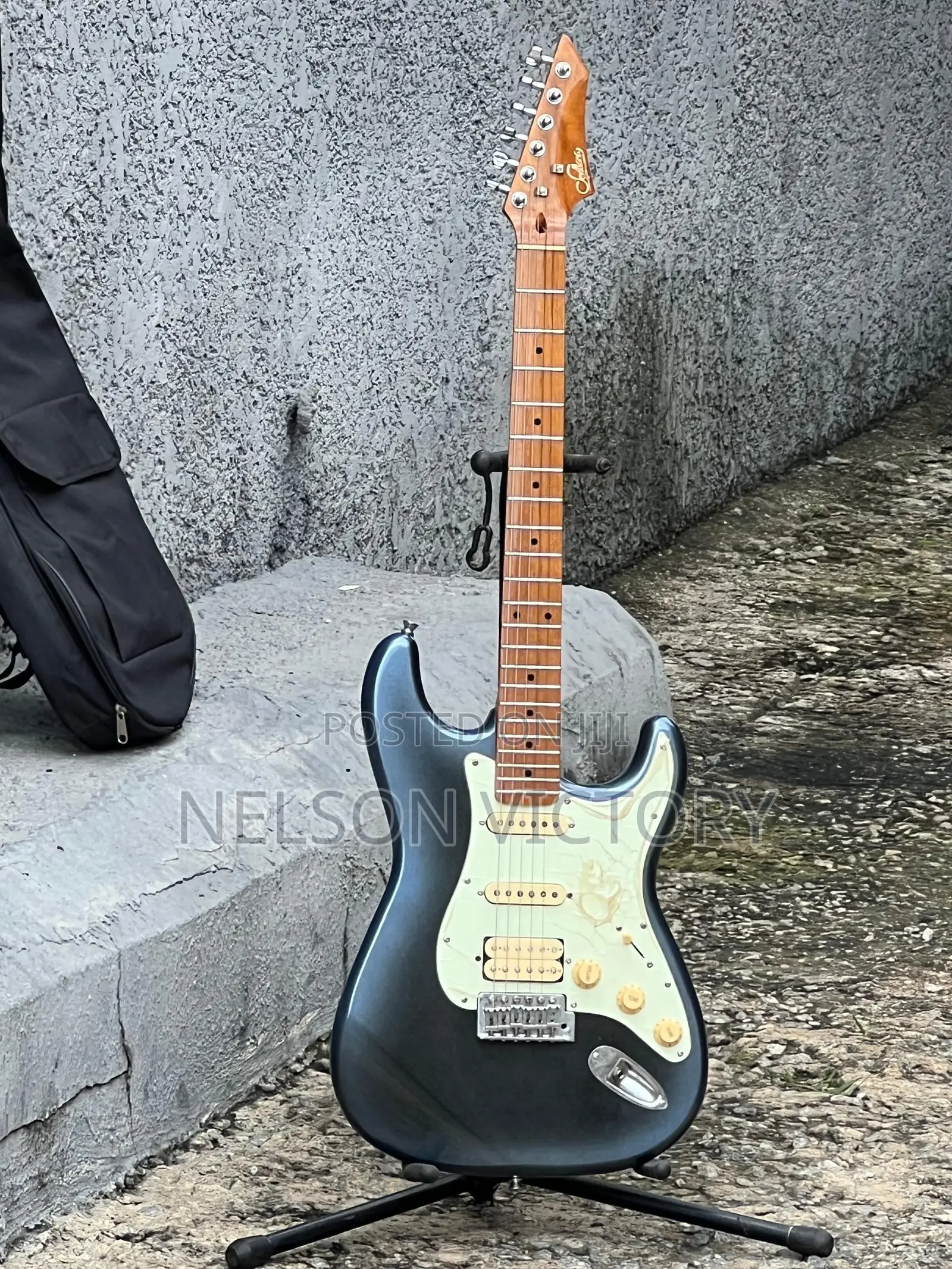 Electric Guitar