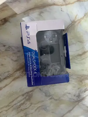 Ps4 Controller Pad