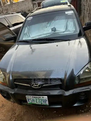 Hyundai Tucson 2010 Gray