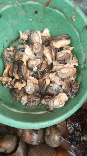 Water Snail
